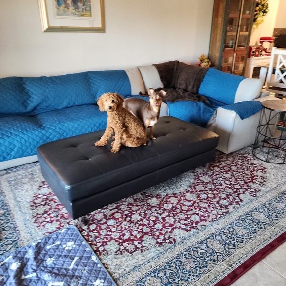 Meet your Posher, Diane - Picture 3 of 3